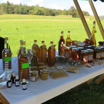 Mlinarjeva pot 14.09.2013 73